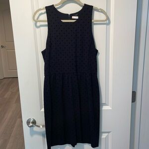 J.Crew Dress with Velvet Swiss Dots